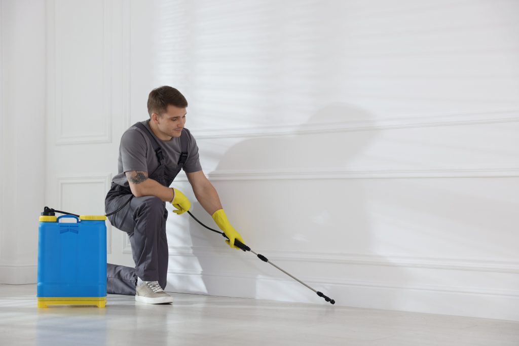 pest control